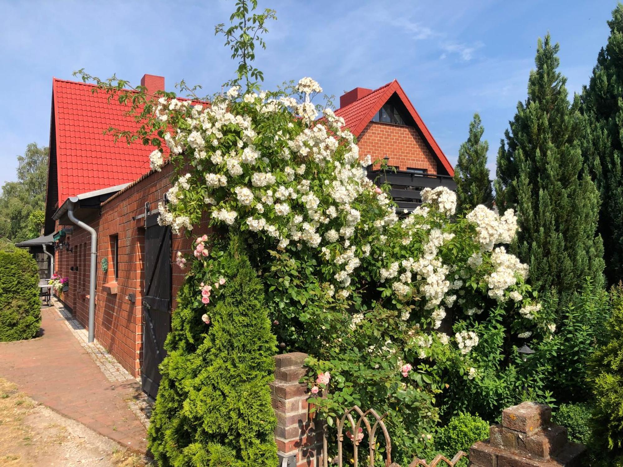 Landhaus Schlunt Wustrow  Dış mekan fotoğraf